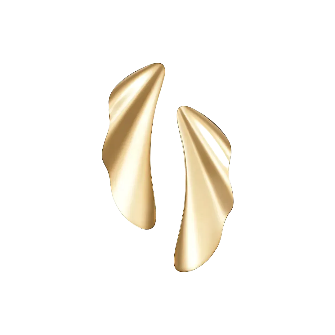Earrings - Image 1