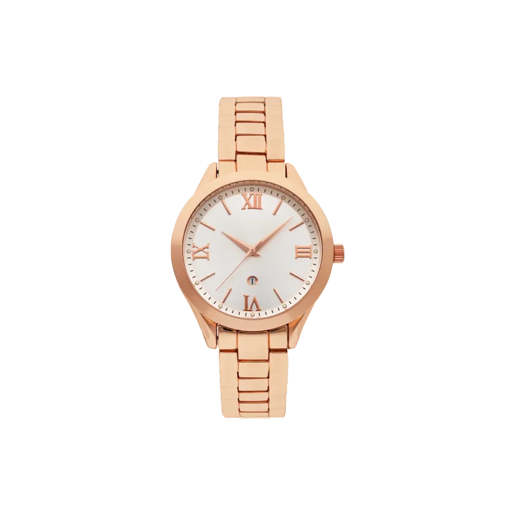 Gold Steel Watch